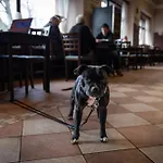 Parkhotel